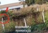 Veja Vídeo – Prefeito denuncia incêndio criminoso no Pedra 90 em Cuiabá e pede ajuda à população