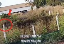 Veja Vídeo – Prefeito denuncia incêndio criminoso no Pedra 90 em Cuiabá e pede ajuda à população