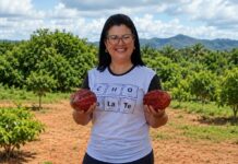 O chocolate que movimenta pessoas, sonhos e a agricultura familiar