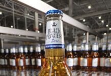 Black Princess inova em 2026 com estreia de sua primeira Zero Álcool e versão em lata para cervejas especiais
