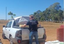 Polícia Civil acompanha retirada de mulher de fazenda após denúncia de violência doméstica em Barra do Garças