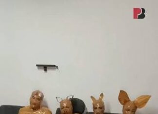 Veja Vídeo – Homem captura quatro suspeitos de furto e os fantasia de ‘Teletubbies’ como castigo; veja