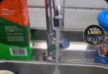 Veja Vídeo – Água congela no ar durante frio de -6°C e cena impressiona na Serra Catarinense; veja