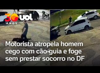 Veja Vídeo – Motorista atropela homem cego com cão-guia e foge sem prestar socorro no DF; veja