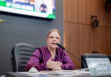 Paula Calil propõe criação de Banco Municipal de Ração para animais abandonados em Cuiabá
