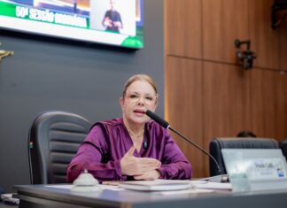 Paula Calil propõe criação de Banco Municipal de Ração para animais abandonados em Cuiabá
