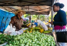 Início do mês aumenta movimento e fortalece vendas na Feira da Agricultura Familiar em Cuiabá