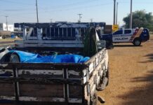 Homem é preso com arma e 427 kg de bovinos abatidos durante abordagem em Alto Araguaia