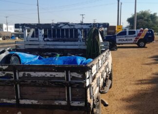 Homem é preso com arma e 427 kg de bovinos abatidos durante abordagem em Alto Araguaia