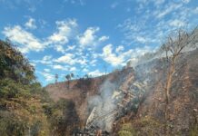 Acidente entre duas carretas deixa um morto e provoca incêndio na BR-070 em Cáceres