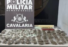 Cavalaria da PM apreende 149 porções de drogas e prende casal suspeito de tráfico em Nova Mutum
