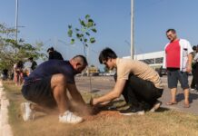 Prefeitura de Cuiabá planta 60 árvores no entorno do Mercado do Porto