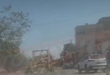 Veja Vídeo – Árvores caem de veículo durante transporte e preocupa moradores no Parque Atalaia em Cuiabá