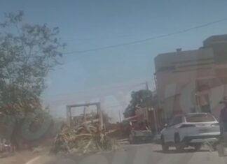 Veja Vídeo – Árvores caem de veículo durante transporte e preocupa moradores no Parque Atalaia em Cuiabá