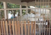 Veja Vídeo – ONG Anjo de 4 Patas busca parceria com recicladora