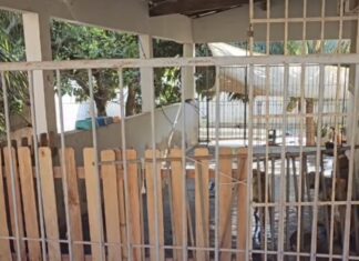 Veja Vídeo – ONG Anjo de 4 Patas busca parceria com recicladora
