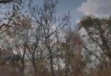 Veja Vídeo – Moradores do Barreiro Branco cobram ação contra incêndio em Cuiabá