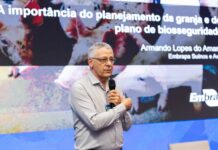 Planejamento da granja e vazio sanitário são fundamentais para fortalecer a sanidade na suinocultura, destaca especialista da Embrapa