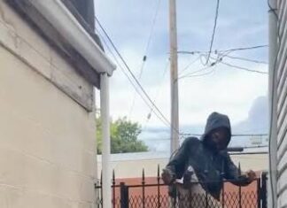 Veja Vídeo – Criminoso tentar pular portão durante fuga, fica preso pelos espinhos e sai frustrado; veja