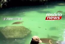 Veja Vídeo – Modelo é surpreendida por tartaruga-marinha durante mergulho e leva mordida no glúteo; veja