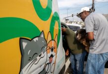 Prefeitura de Cuiabá resgata oito animais após denúncia de maus-tratos