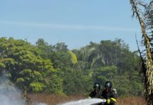 Queda de avião deixa três mortos e mobiliza bombeiros em Água Boa