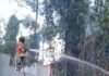 Bombeiros combatem incêndio que avançou de área de mata para plantação em Sinop