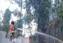 Bombeiros combatem incêndio que avançou de área de mata para plantação em Sinop