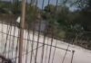 Veja Vídeo – Morador de Rosário Oeste reclama da proibição de passar montado na moto em cima de ponte em reforma