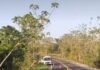 Veja Vídeo – Carreta sai da pista, destrói vegetação e para próximo a lago na MT-480 próximo a Tangará da Serra