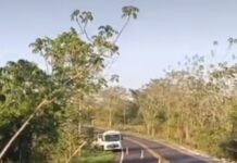 Veja Vídeo – Carreta sai da pista, destrói vegetação e para próximo a lago na MT-480 próximo a Tangará da Serra