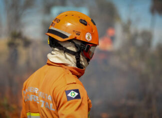 Bombeiros mobilizam três aeronaves para combater incêndio no Morro de Santo Antônio