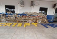 Polícias de MT apreendem 1 tonelada de drogas; valor estimado de R$ 8,6 milhões