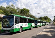 Cuiabá terá frota completa e transporte gratuito no domingo de eleições