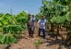 Prefeitura de Cuiabá visita comunidade rural para fortalecer agricultura familiar