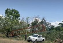Veja Vídeo – Moradora reclama de descarte de lixo em terreno vizinho à casa dela no Água Vermelha em Várzea Grande