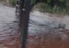 Veja Vídeo – Moradora de Poconé denuncia problemas de escoamento
