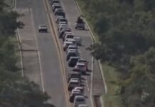 Veja Vídeo – Trânsito lento provoca congestionamentos na MT-251 nesta segunda (12)