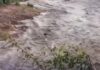 Veja Vídeo – Guia de turismo registra cabeça d’água no córrego da Cachoeira do Jatobá