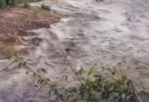 Veja Vídeo – Guia de turismo registra cabeça d’água no córrego da Cachoeira do Jatobá