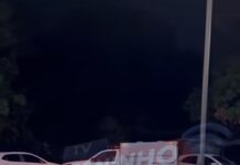 Veja Vídeo – Idoso sofre acidente durante poda de árvore e morre em Cuiabá