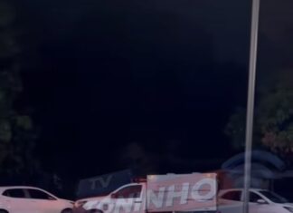 Veja Vídeo – Idoso sofre acidente durante poda de árvore e morre em Cuiabá