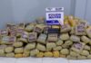 Polícia apreende 202 kg de skunk escondidos em carga de milho em Alto Araguaia