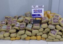 Polícia apreende 202 kg de skunk escondidos em carga de milho em Alto Araguaia