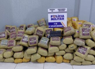 Polícia apreende 202 kg de skunk escondidos em carga de milho em Alto Araguaia