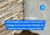 Veja Vídeo – Amontoados no canto: biólogo resgata cinco filhotes de capivara sem os pais em residência