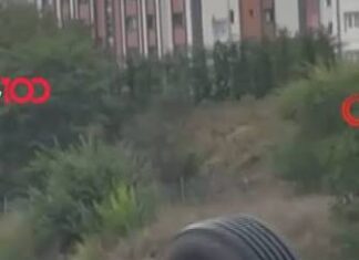 Veja Vídeo – Pneu de caminhão se desprende de veículo e desce desgovernado em avenida em Istambul