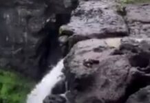 Veja Vídeo – Jovem perde equilíbrio ao fazer selfie e fica pendurado perto de precipício; veja