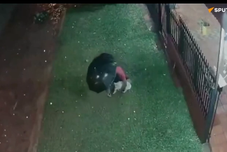 Veja Vídeo – Cachorrinho é atingido por enorme granizo durante tempestade no Paraguai; veja